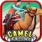 Camel Racing ( Race Simulator)
