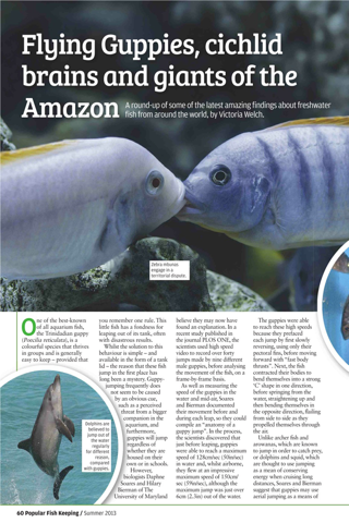 Popular Fish Keeping – The Home Aquarium Magazine screenshot 4