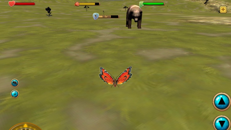 Butterfly Simulator 3D