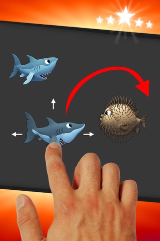 Funny Shark Game screenshot 3