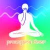 Pranayama Timer