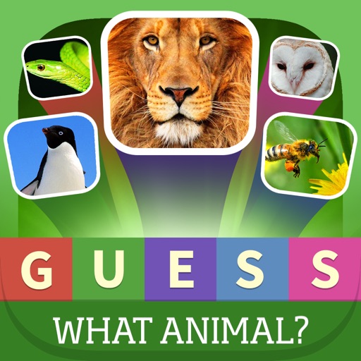 Guess what? Animal quiz - Popular Animals in the world icon