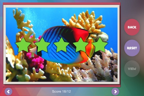 Déjà Vu - Reef screenshot 4