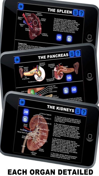 Anatomy 3D - Organs Screenshot 1