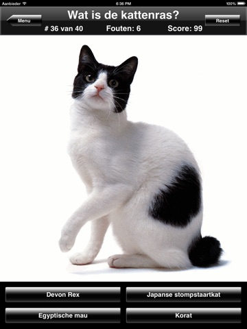 Cat Breed Quiz for iPad screenshot 3