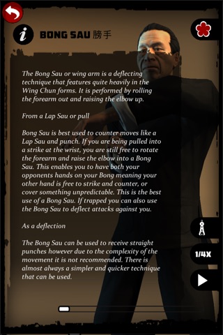 Ip Man Wing Chun Kung Fu : SLT screenshot 3