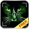 This app is intended for entertainment purposes only and does not provide true night vision functionality