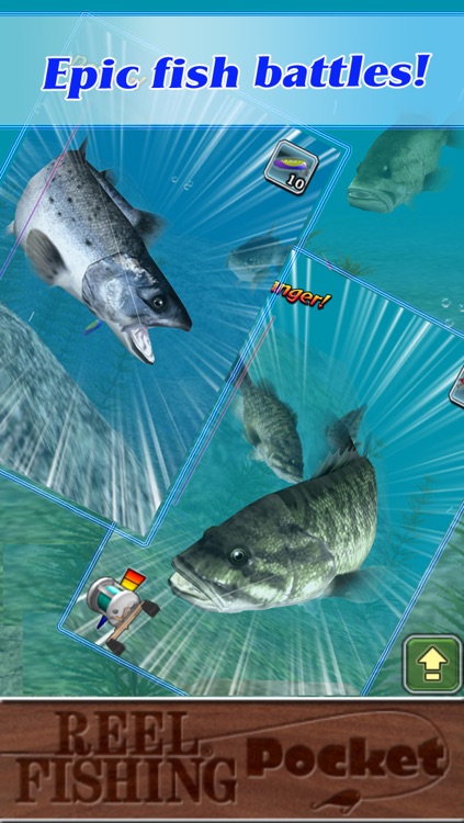 Reel Fishing Pocket