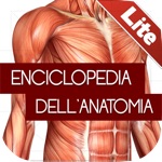 Enciclopedia dellANATOMIA - FREE