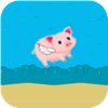 Piggy GoGoGo