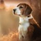 Amazing Wallpapers of Dog Breeds