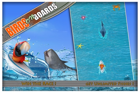 Birds on Boards FREE : Tiny Parrots Water adventure Race screenshot 3
