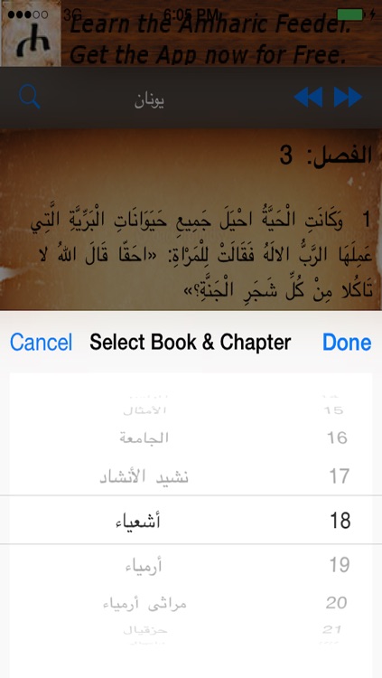 Arabic Bible +
