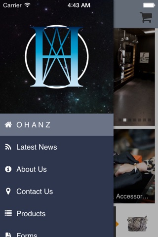 OHanz screenshot 2