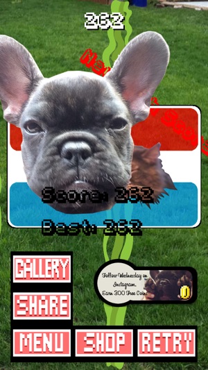 Frenchie Family - French Bulldog Pack Builder(圖3)-速報App