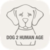 Human To Dog Age