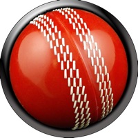 Cricktick - a cricket fungame apk
