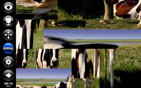 On The Farm Living Jigsaw Puzzles & Puzzle Stretch screenshot 3