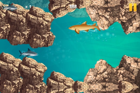 Flappy Shark Logic - Race between Fish and Turtle Reef screenshot 2