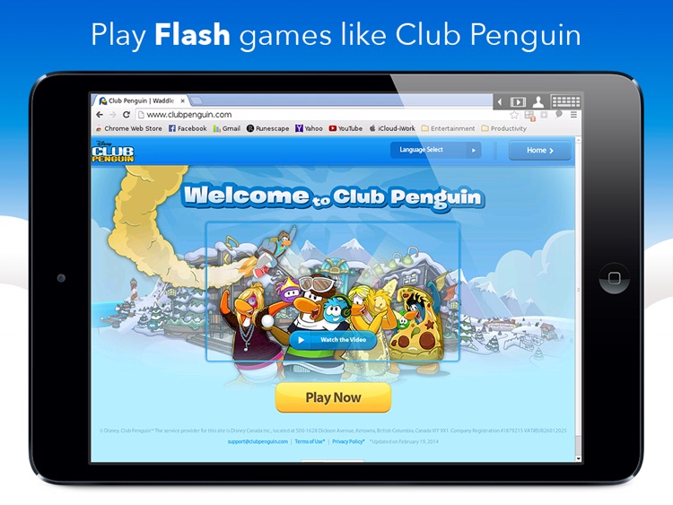 VirtualBrowser for Chrome + Flash Player, Java & Browser Extensions - iPad Edition