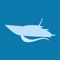 Need to know what the marine forecast is before you go boating or during your boating trip
