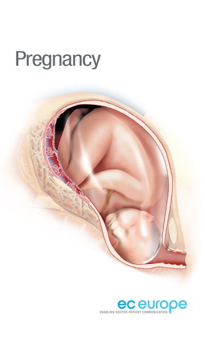 Miniatlas Pregnancy