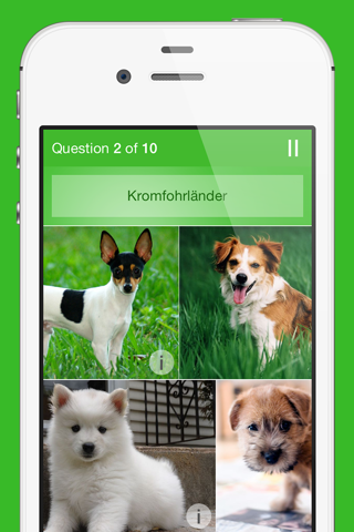 iKnow Dogs Quiz screenshot 3