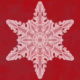 Snowflakes by Hado Labs