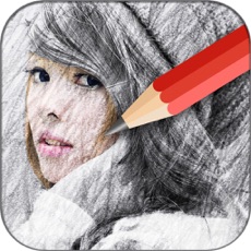 Activities of Sketch Effect