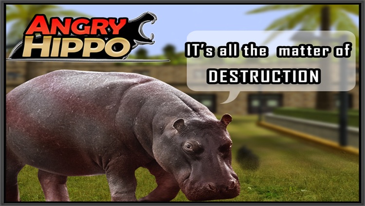 Angry Hippo