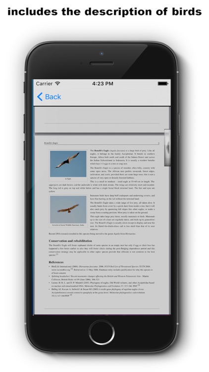 Birds Songs App, ornithology