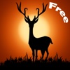 REAL WHITETAIL DEER HUNTER & Duck Hunt & Wolf  Hunting in different places Free Games For Shooter.
