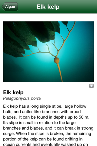 California Kelp Forests screenshot 2