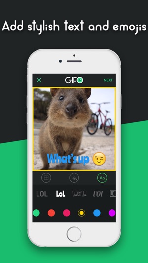 GIFO - Best Gif Camera(圖4)-速報App