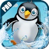 Penguin Fun Surf PRO