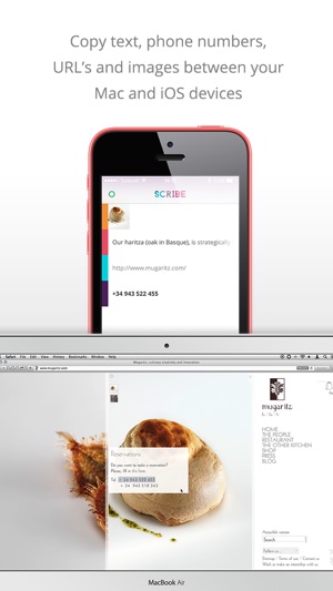 Scribe - Copy anything from your Mac to 