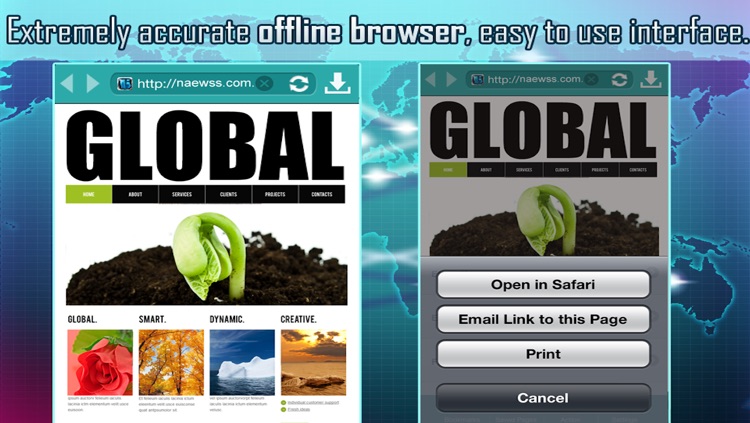Offline Web Browsing Tool screenshot-4