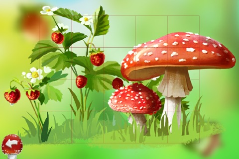 Magic Forest: Educational Puzzle Games for Kids about Animals screenshot 2