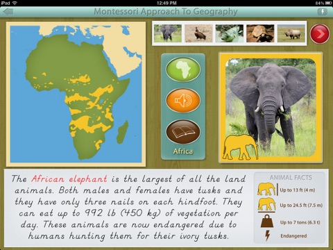 Animals of Africa LITE - A Montessori Approach To Geography screenshot 2