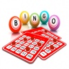 How To Play Bingo - Learn How To Play Bingo Today