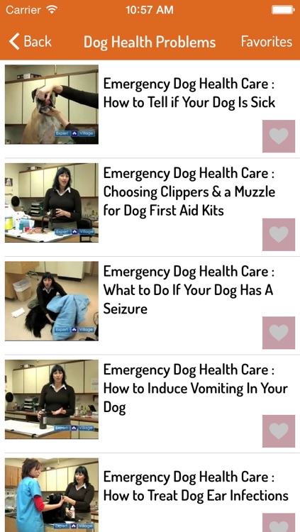 Dog Training Guide - Ultimate Video Guide