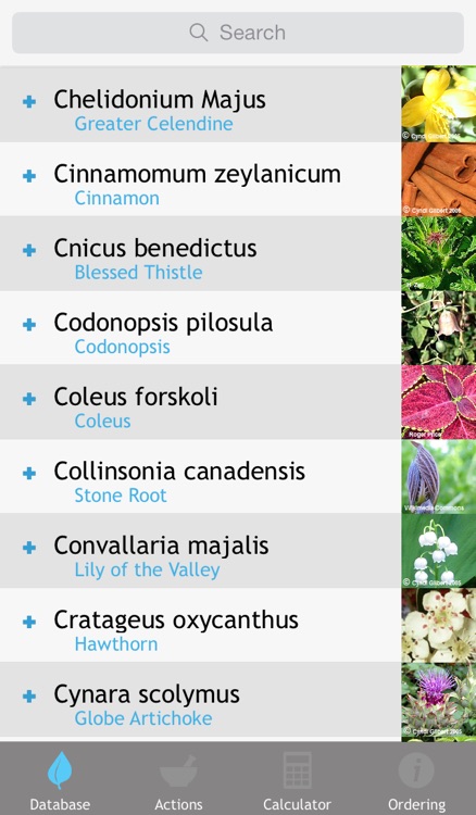 Perfect Herbs