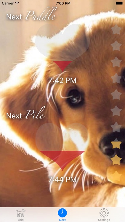 Puddle & Pile - Puppy Toilet Training
