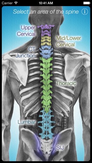 Dynamic Spine(圖1)-速報App