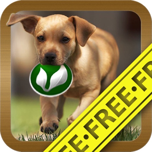 Dog ■ mini-games (FREE) iOS App