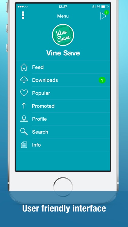 Video Downloader for Vine (Save unlimited vines to your Camera Roll, watch best videos using handy player, vinegrab, save videos from private messages) screenshot-3