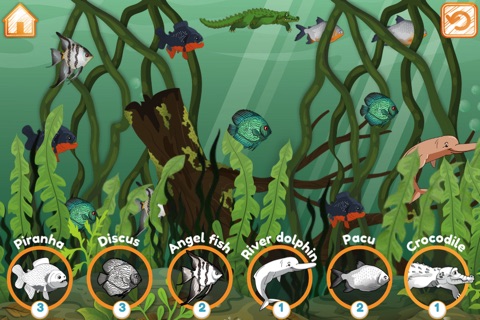 Amazon Rainforest Discovery Lite screenshot 3