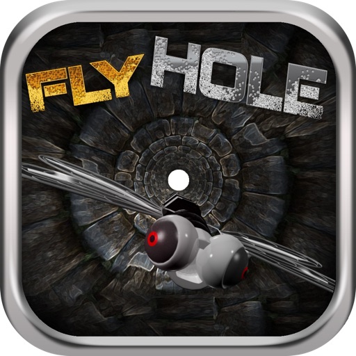 Fly Hole iOS App