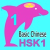 Learn Chinese Beginner HSK1 vocabulary & phrases with audio : Pro Version