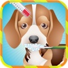 Pet Dog Puppy Vet Doctor - Kids Games